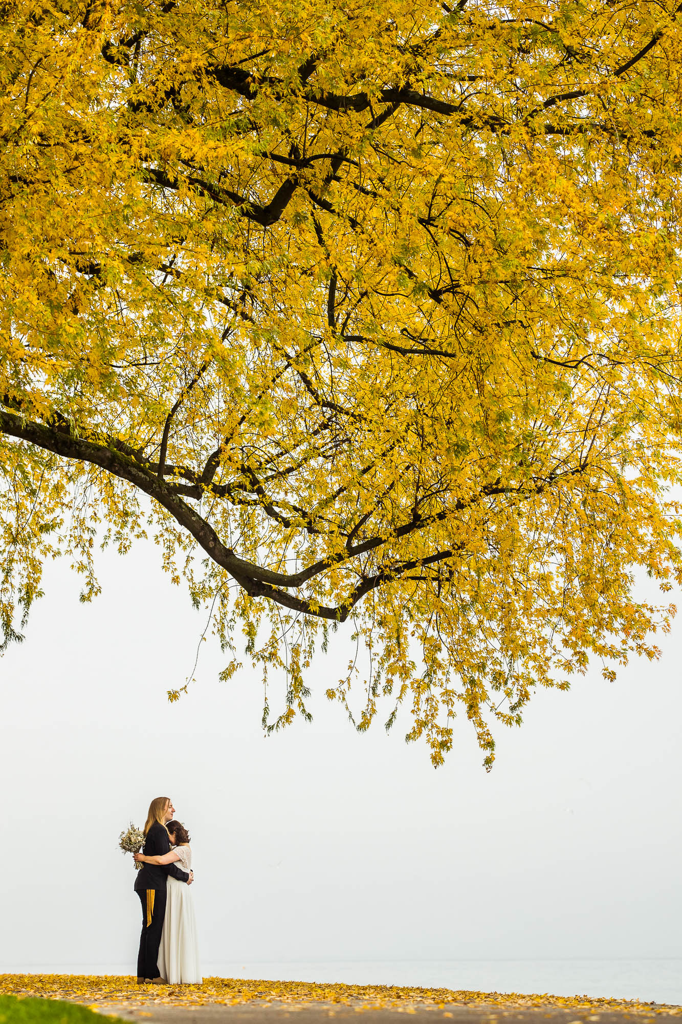 Export x3 1DX29367 Hochzeit 2020 Monika & Sharru 2